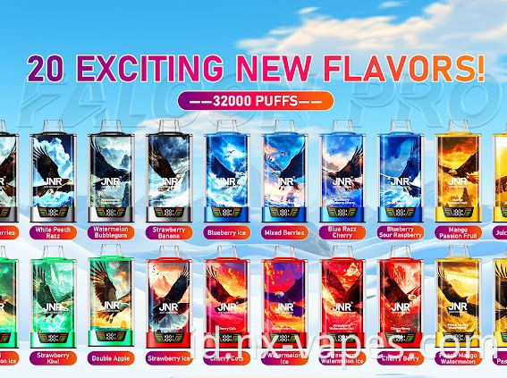 JNR Falcon Pro 28000 (2)